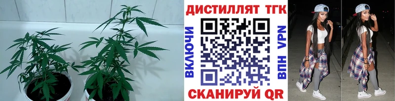 Купить  Нариманов  Дистиллят ТГК THC oil 