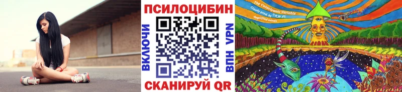 Купить закладки  Нариманов  Псилоцибиновые грибы GOLDEN TEACHER 